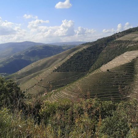 Douro Valley - Casa Da Praca Ervedosa do Douro ภายนอก รูปภาพ