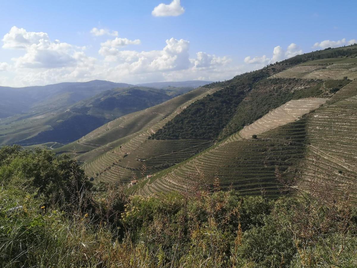 Douro Valley - Casa Da Praca Ervedosa do Douro ภายนอก รูปภาพ