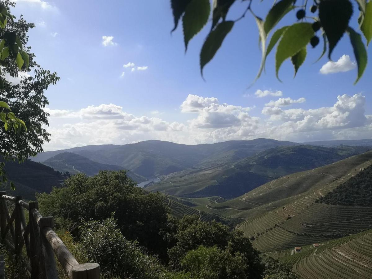 Douro Valley - Casa Da Praca Ervedosa do Douro ภายนอก รูปภาพ